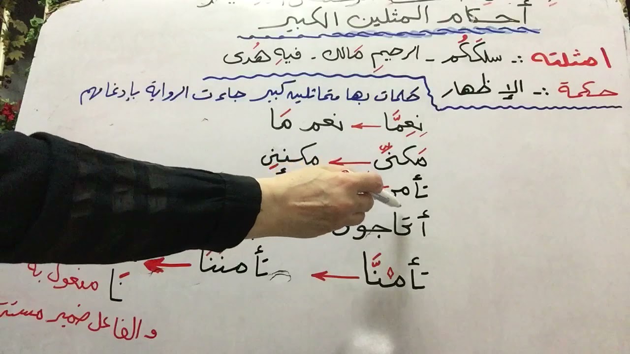 المتماثلان الكبير 🌹🌹🌼🌼