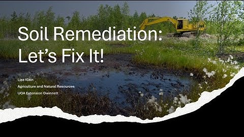 Soil Remediation: Let’s Fix it!