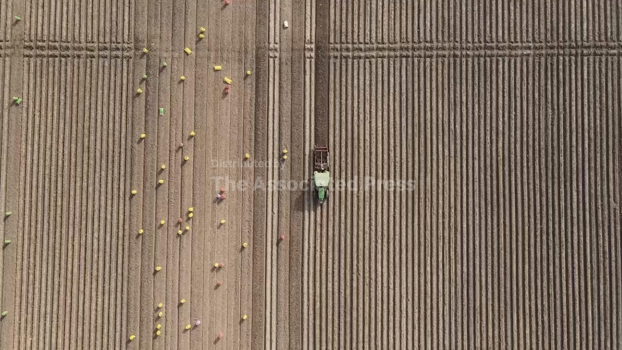 AI farming: Indian farmer uses automated tractor that learns as it sows