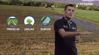 AGRICONSEJOS NETAFIM - #3 Diferencias riego rodado, por goteo y aspersión