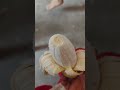 #food #funny #foodie #cooking #comedy #viralvideo #trending #mrsanjaycomedy #ramadanfood