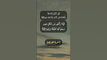 سورة الفرقان الآية ١٠ الى ١٤ بصوت الشيخ محمد صديق المنشاوي