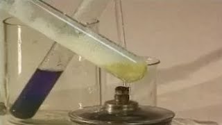 Опыты по химии. Цветные реакции белка: биуретовая; ксантопротеиновая