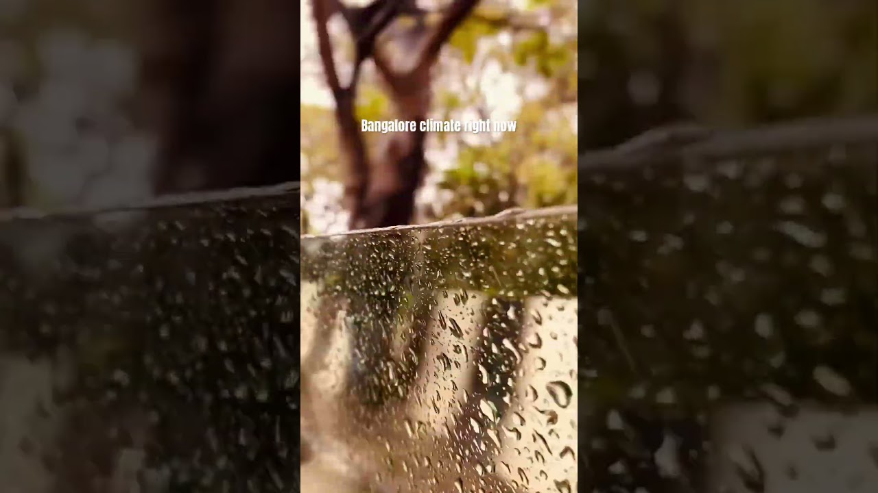 Bangalore climate right now| December|Rains|winters