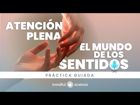 🎧 ATENCIÓN PLENA