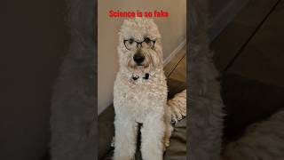 Science is so fake #dog #love #short #sun