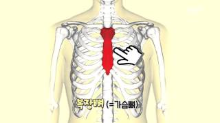 [169회] '어설픈 인공호흡' 하면 안 되는 이유