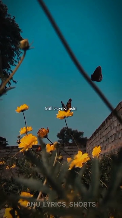 Tu jo mila #shorts #shortsong #lyrics #subscribe #support #like 🥰🥰😍😍