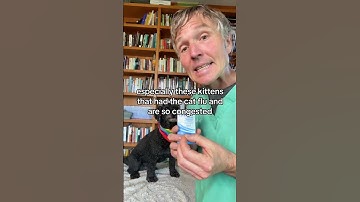 Awesome OTC remedy for congested pets