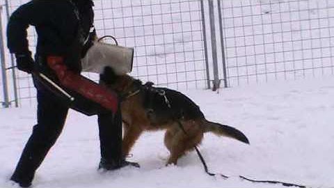 Ischa z Gargamellu protection 2/2010