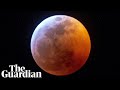 What the super blood wolf moon looked like around the world