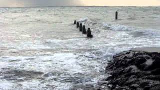 MOV05261.MPG