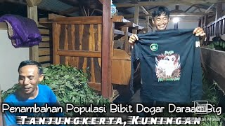 PENAMBAHAN POPULASI BIBIT DARAAN BIG KE TANJUNGKERTA KUNINGAN