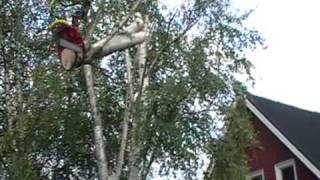 Trädfällning Kranbil