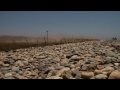 LEADERS VS ROCKS H 264
