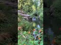 #shorts#ytshorts#youtubeshort#trending#viral#nature#naturephotograpy#naturelovers