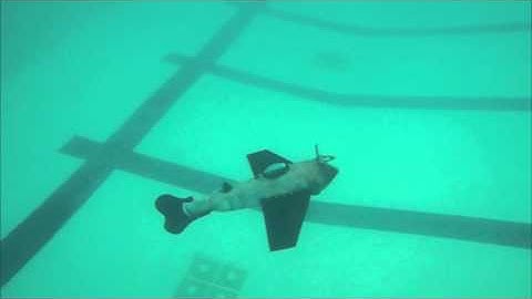 Underwater View: Gliding Robotic Fish "Grace" Glides Down and Up