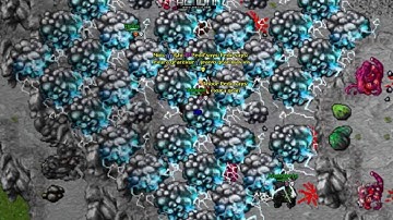 Tibia Pk Shadowcores Part 1