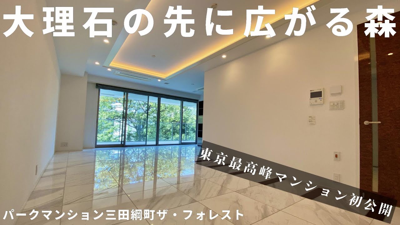 東京最高峰 大理石床のリビングから見える贅沢な景色 パークマンション三田綱町ザフォレスト 高級マンション内覧動画 Youtube 東京最高峰 大理石床のリビングから見える贅沢な景色 パークマンション三田綱町ザフォレスト 高級マンション内覧動画 Youtube