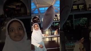Visiting Museum of Natural History