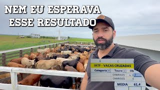 SERÁ QUE FOI S0RTE? Nosso MELHOR indicie da IATF da estação! - EP 33