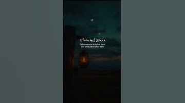 تلاوة خاشعة اكتب شيء تؤجر عليه #قرآن