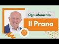 Le Caratteristiche E Le Proprietà Energetiche del Prana - Gabriele Laguzzi