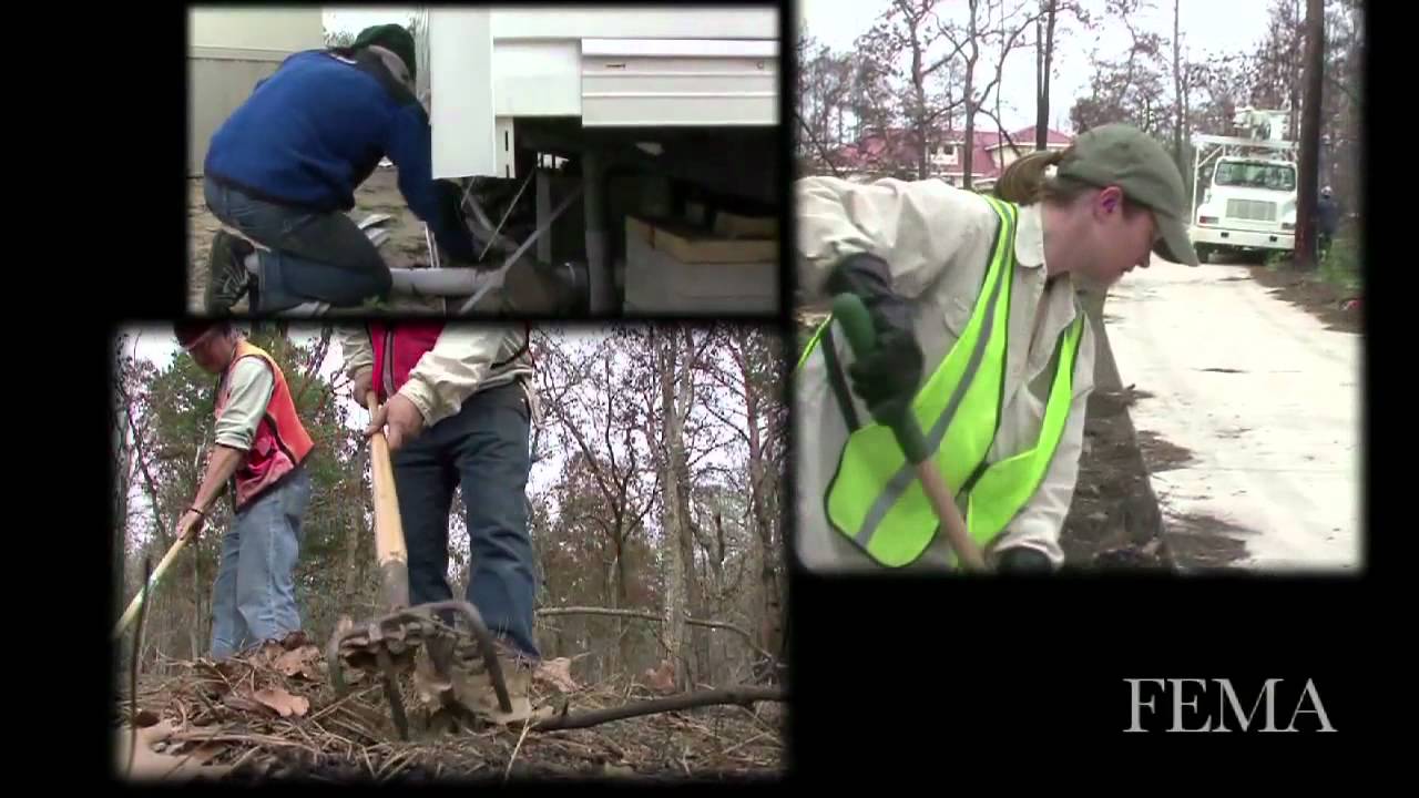 monitoring-for-the-endangered-houston-toad-in-texas-youtube