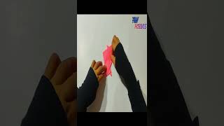 Make An Origami Frog