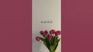 القارئ : جابر القيطان | سورة الزلزلة