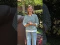 WVUA 23 News Digital Daily - 09/18/2026