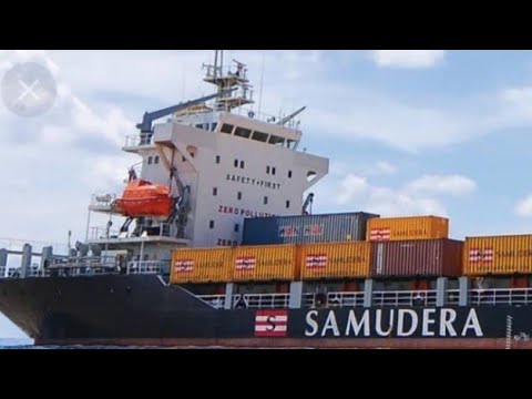 Saham SMDR ( Samudra Indonesia ) masih sangat prospek untuk investasi ini alasannya..