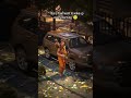 like and subscribe for more videos💐.        Jai shree ram⚜️