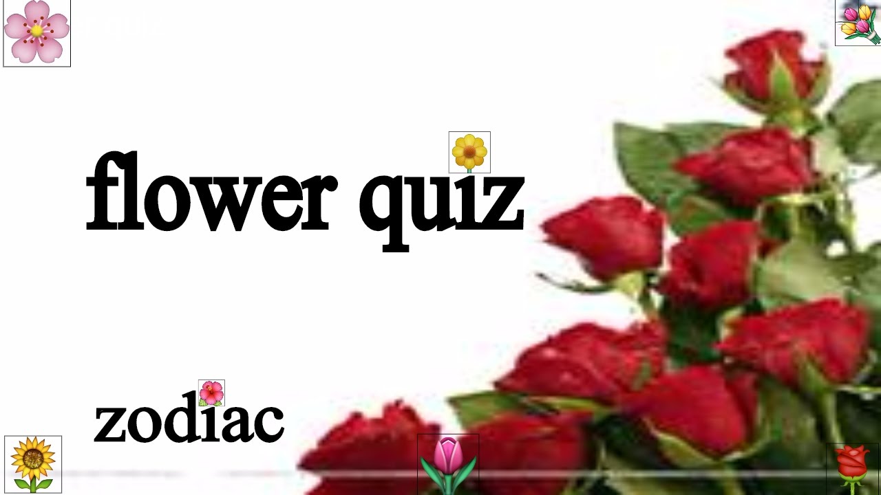 flower quiz YouTube