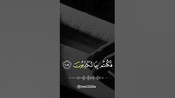 سورة المؤمنون #الشيخ_خالد_الجليل @قناةالشيخخالدالجليل