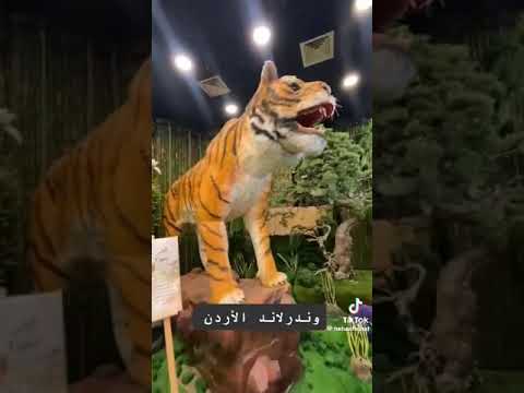 وندر لاند الأردن الاستقلال مول محافظة العاصمة
