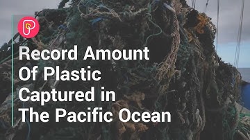 Record Amount of Plastic Captured in Pacific Ocean