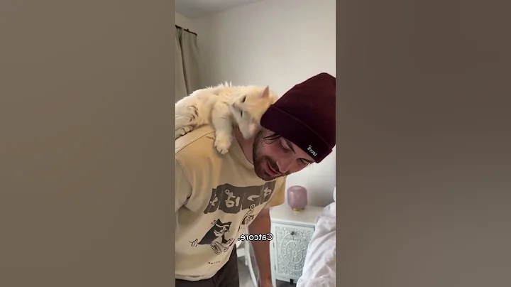 Watch the video about #88 Funny Cat videos #meowing #memes #cuts #fyp