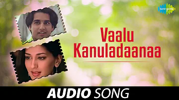 Vaalu Kanuladaanaa (Telugu) | Premikula Roju | Unni Menon | A.R.Rahman