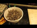 Mr  McCrawls Worms