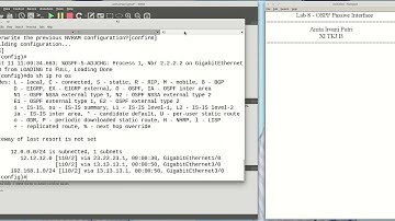 Lab 8   OSPF Passive Interface