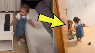 Tiny Girl Scolds Dog For Peeing On The Couch