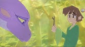 pics Reversal Of The Heart Dragon Princess the dragon princess youtube