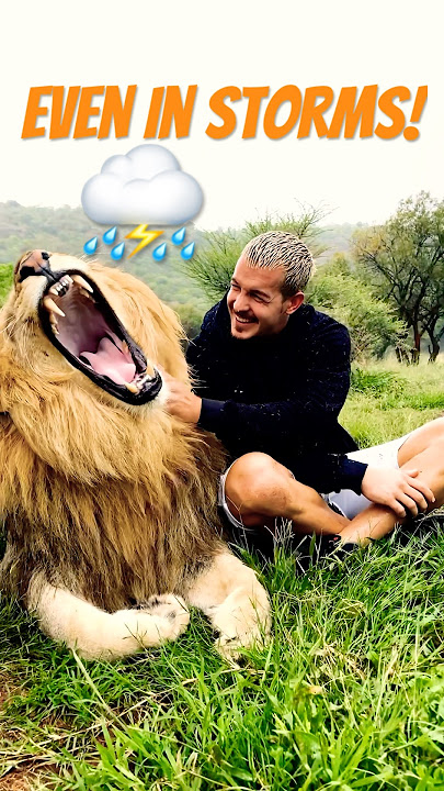 Who is always by your side?❤️🦁