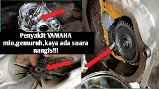 Penyakit di yamaha mio,bunyi gemuruh dan suara kaya nangis di cvt mio dan gardan