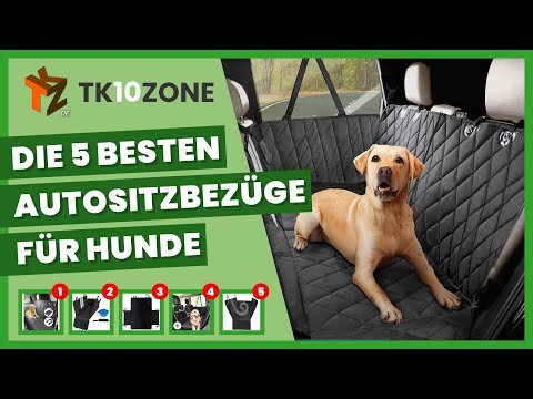 Video: So Wählen Sie Den Richtigen Autositzbezug Für Hunde Aus