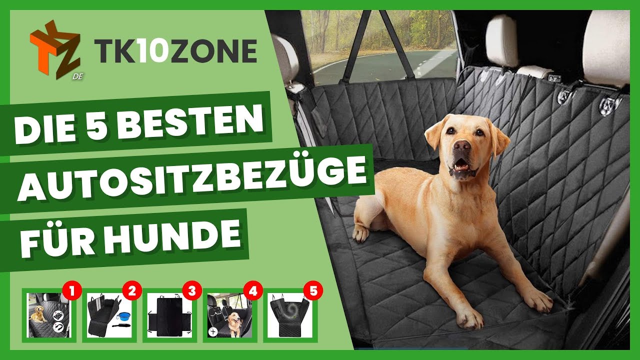 Die 5 besten Autositzbezüge für Hunde 