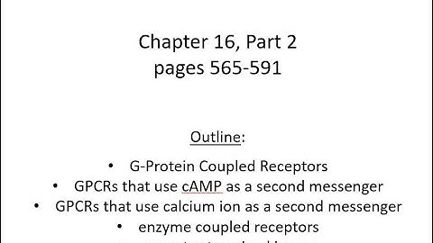 Lecture 19 GPCRs and RTKs Ch 16 Pt 2
