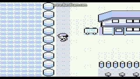 Dokokashira door glitch gone wrong