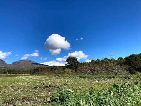 1 ザ ローズショップｂｙ長野ローズ 小諸試験場 Youtube